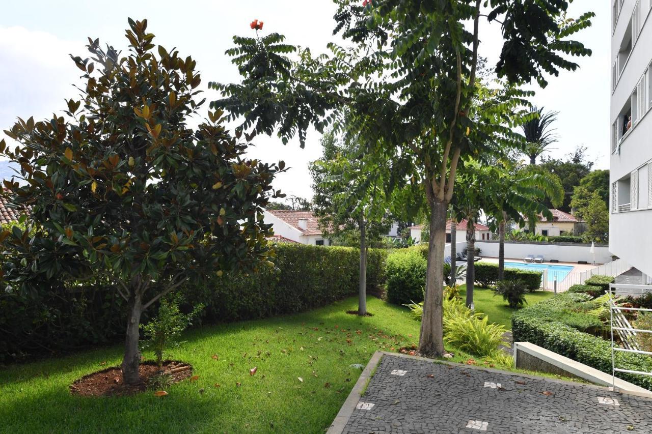 Villa Jasmineiro Funchal  Exteriér fotografie